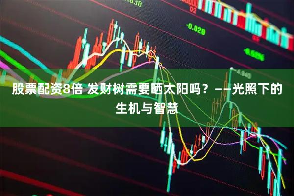 股票配资8倍 发财树需要晒太阳吗？——光照下的生机与智慧
