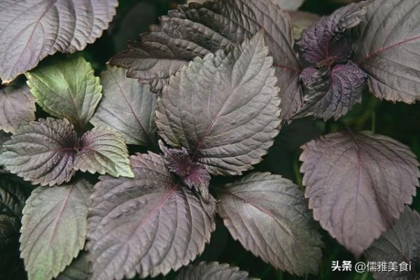 线下配资官网 天然“化栓王”找到了！每天吃一点，血管干净人长寿